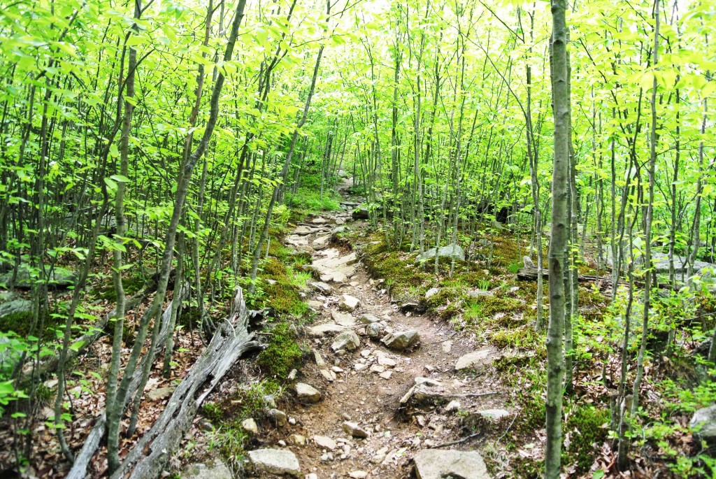 hike- trail 1MB